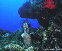 Amphora