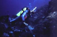 Diver