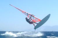 JM flies